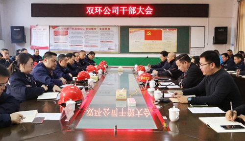 王大真到雙環(huán)公司現(xiàn)場調(diào)研并組織召開干部大會(huì)(圖2)