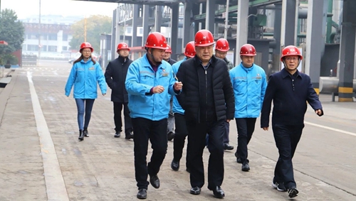 袁衛(wèi)東到股份、楚星和新項目現(xiàn)場調(diào)研(圖1)