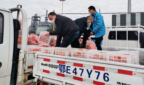 情義無價！山西蘭花公司采購一批生活物資馳援宜化(圖3)