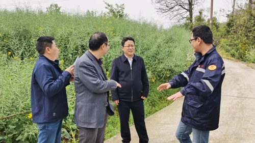 王大真一行到松滋肥業(yè)現(xiàn)場辦公(圖1) 王大真一行到松滋肥業(yè)現(xiàn)場辦公(圖1)