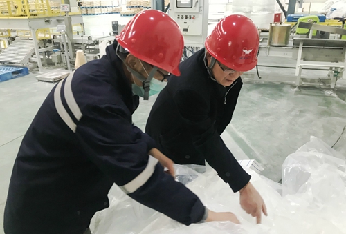 王大真到新材料公司、TPO項目現(xiàn)場和股份公司檢查工作(圖1)