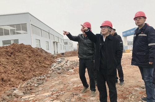 王大真到新材料公司、TPO項目現(xiàn)場和股份公司檢查工作(圖2)