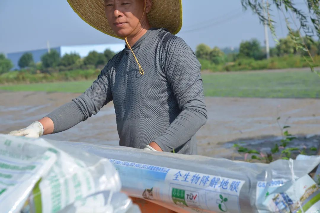 宜化全生物降解材料在河南推廣運(yùn)用(圖2) 圖片