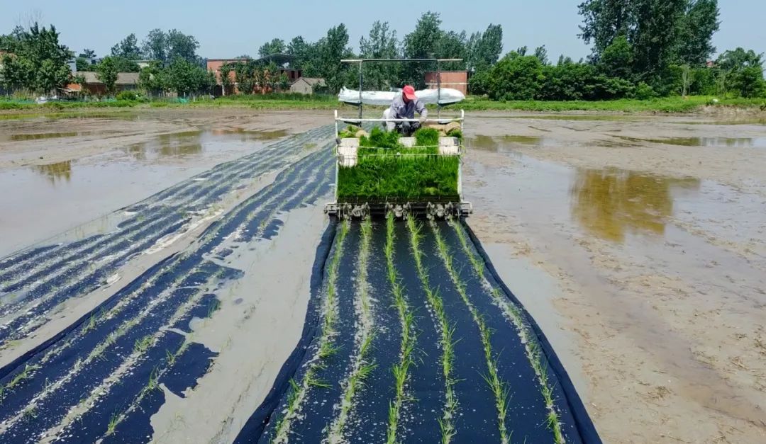 宜化全生物降解材料在河南推廣運(yùn)用(圖3) 圖片