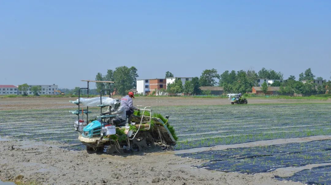 宜化全生物降解材料在河南推廣運(yùn)用(圖4) 圖片