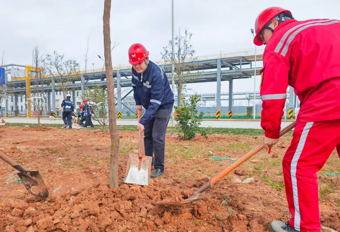 “植”此青綠共“樹”未來(lái)！集團(tuán)各公司開展植樹活動(dòng)(圖11)