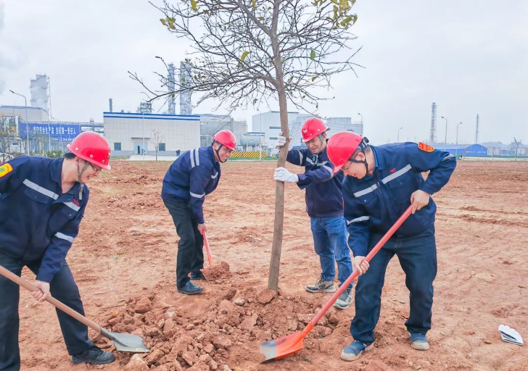 “植”此青綠共“樹”未來(lái)！集團(tuán)各公司開展植樹活動(dòng)(圖9)