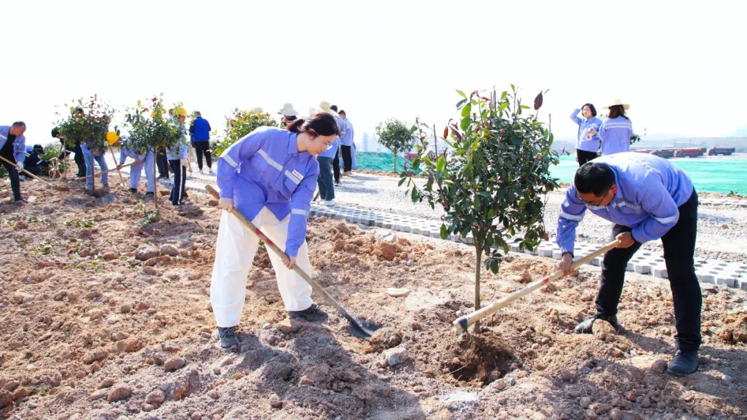 “植”此青綠共“樹”未來(lái)！集團(tuán)各公司開展植樹活動(dòng)(圖16)