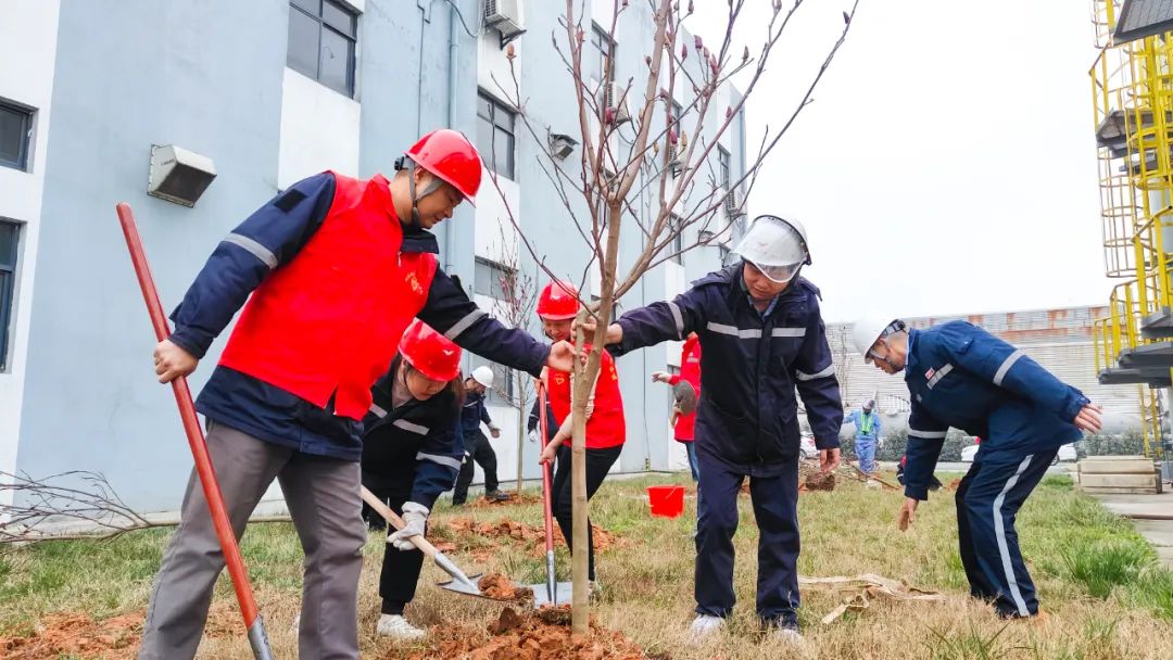 “植”此青綠共“樹”未來(lái)！集團(tuán)各公司開展植樹活動(dòng)(圖26)