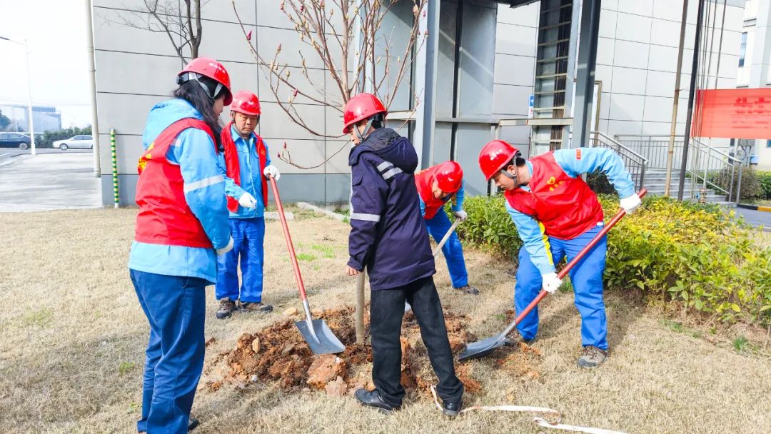 “植”此青綠共“樹”未來(lái)！集團(tuán)各公司開展植樹活動(dòng)(圖25)
