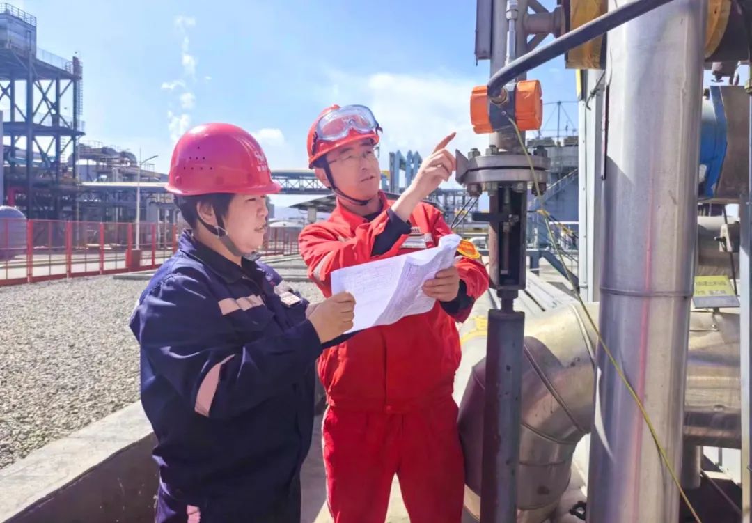 青海宜化：固本謀遠(yuǎn)出實招，昂揚奮戰(zhàn)踏新途(圖4)