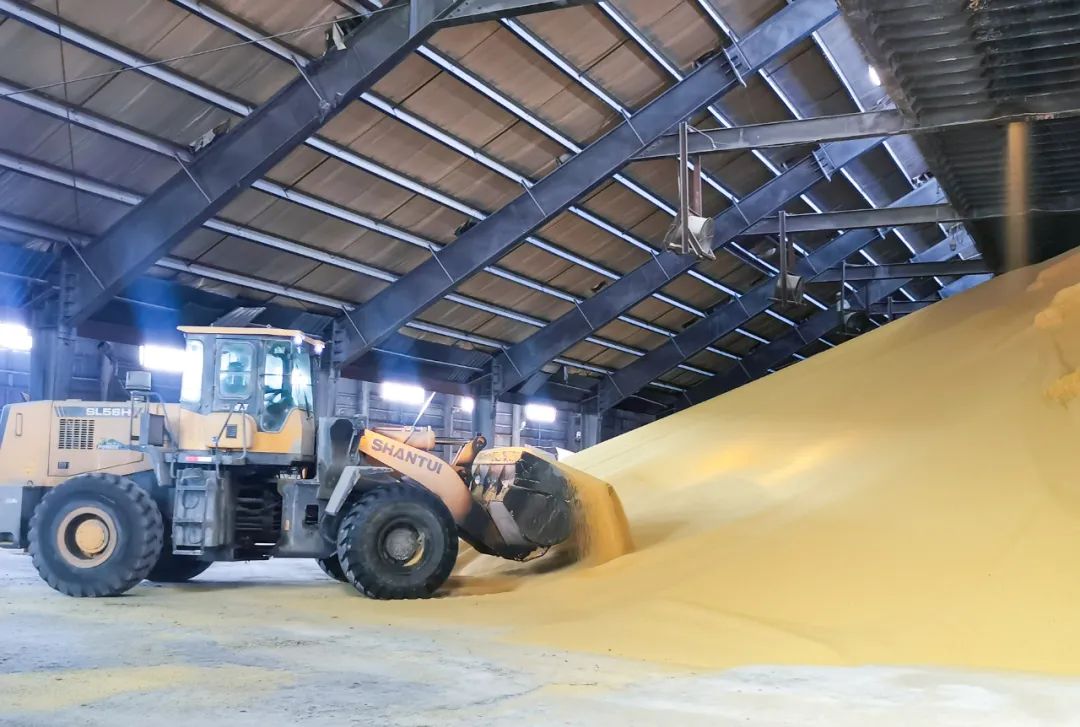 股份公司磷銨分廠：優(yōu)化生產(chǎn)提質(zhì)量，深挖潛力創(chuàng)效益(圖3)