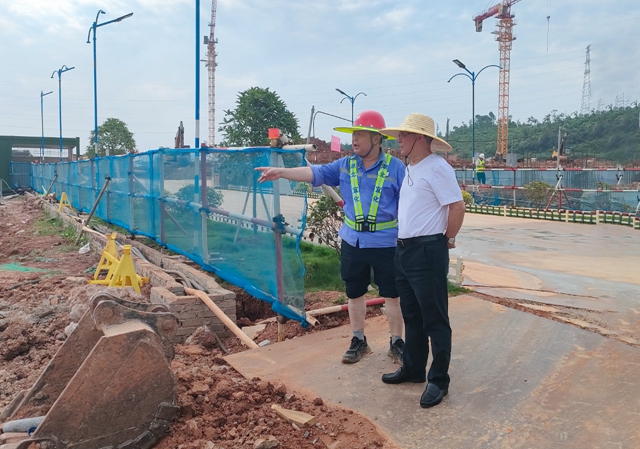 王大真到楚星片區(qū)和田家河園區(qū)現(xiàn)場調(diào)研(圖1) 王大真到楚星片區(qū)和田家河園區(qū)現(xiàn)場調(diào)研(圖1)