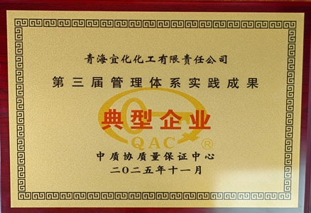 青海宜化獲評 “第三屆管理體系實踐成果典型企業(yè)”(圖1) 青海宜化獲評 “第三屆管理體系實踐成果典型企業(yè)”(圖1)