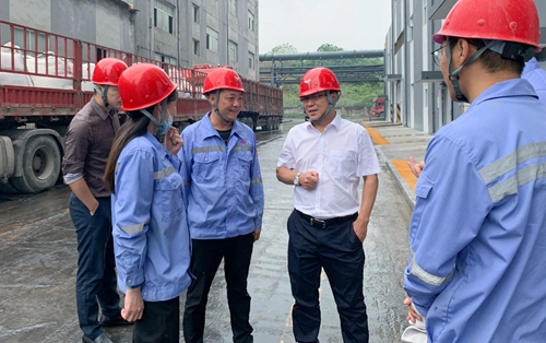 王大真到松滋肥業(yè)、楚星公司和TMP項目現(xiàn)場檢查工作