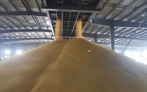 新年新氣象！楚星公司黃色磷酸二銨產(chǎn)品成功下線