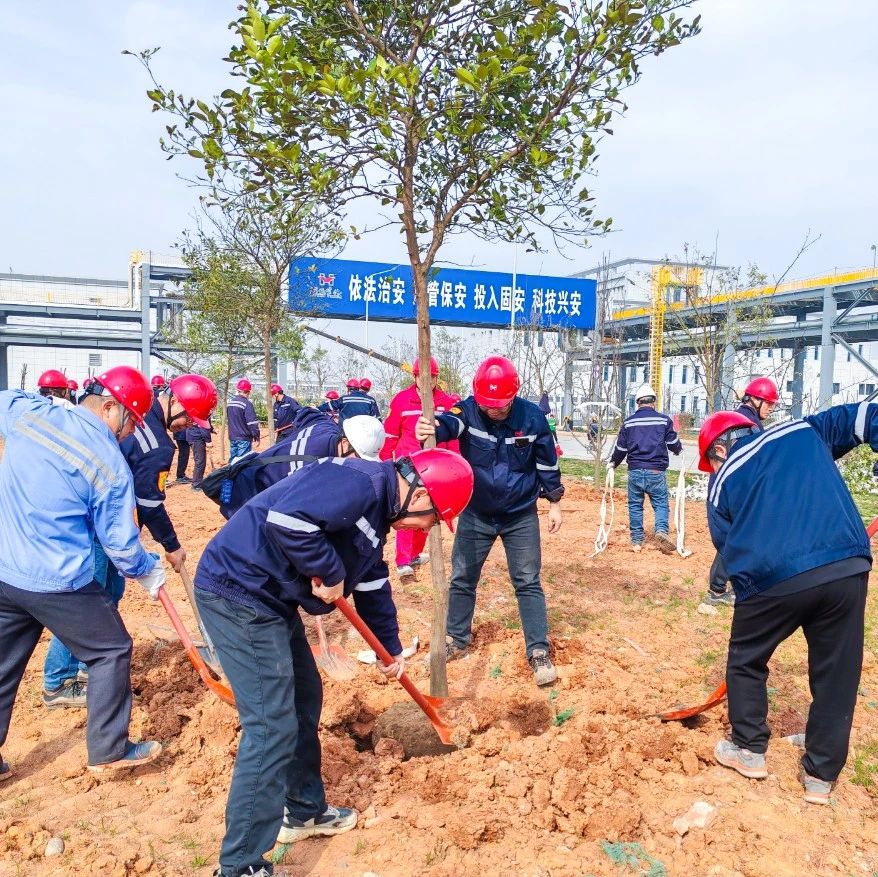 “植”此青綠共“樹”未來！集團(tuán)各公司開展植樹活動